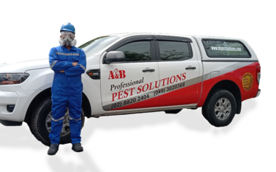 Showcasing MSMEs: A&B Professional Pest Solutions Corporation, Your Ally in the War on Pests!