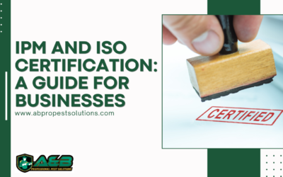 IPM and ISO Certification: A Guide for Businesses