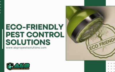 Eco-Friendly Pest Control Solutions