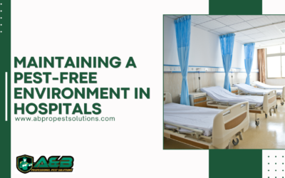 Maintaining a Pest-Free Environment in Hospitals