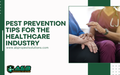 Pest Prevention Tips for the Healthcare Industry