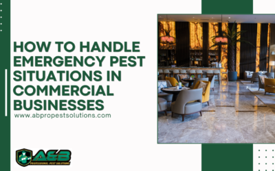 How to Handle Emergency Pest Situations in Commercial Businesses