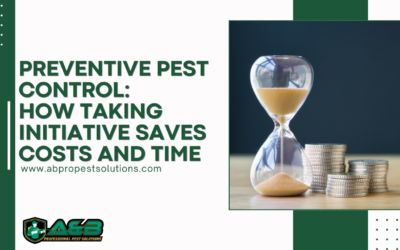 Preventive Pest Control: How Taking Initiative Saves Costs and Time