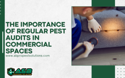 The Importance of Regular Pest Audits in Commercial Spaces