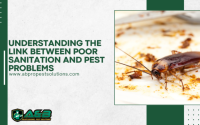 Understanding the Link Between Poor Sanitation and Pest Problems