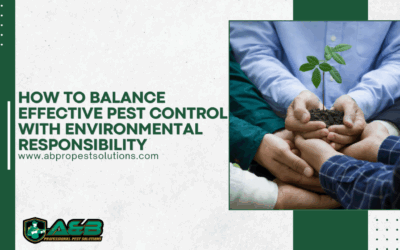 How to Balance Effective Pest Control with Environmental Responsibility
