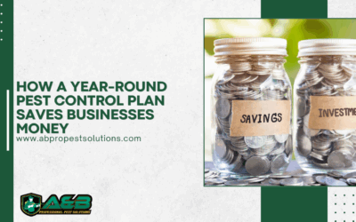 How a Year-Round Pest Control Plan Saves Businesses Money