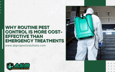 Why Routine Pest Control is More Cost-Effective Than Emergency Treatments