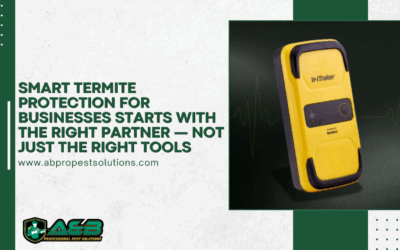 Smart Termite Protection for Businesses Starts with the Right Partner — Not Just the Right Tools