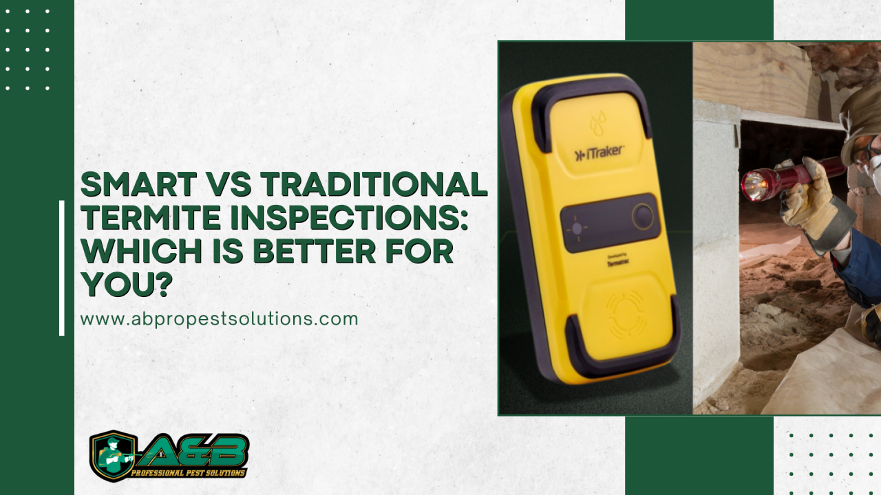 Smart vs Traditional Termite Inspections: Which Is Better For You? - A ...