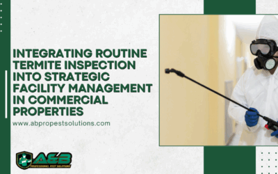 Integrating Routine Termite Inspection into Strategic Facility Management in Commercial Properties