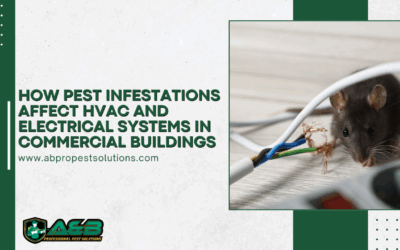 How Pest Infestations Affect HVAC and Electrical Systems in Commercial Buildings