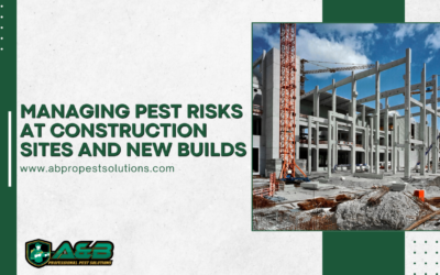 Managing Pest Risks at Construction Sites and New Builds