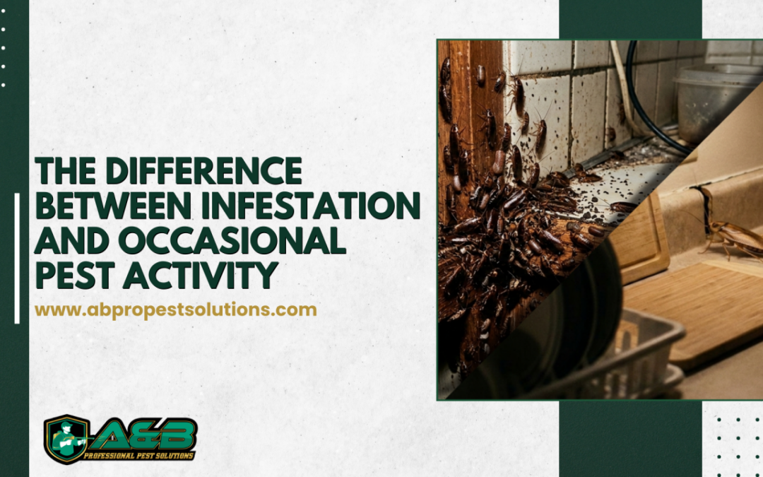 The Difference Between Infestation and Occasional Pest Activity