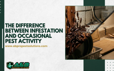 The Difference Between Infestation and Occasional Pest Activity