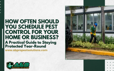 How Often Should You Schedule Pest Control for Your Home or Business? A Practical Guide to Staying Protected Year-Round