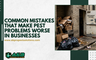 Common Mistakes That Make Pest Problems Worse in Businesses