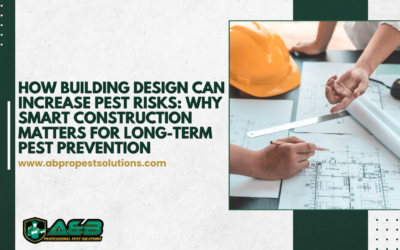 How Building Design Can Increase Pest Risks: Why Smart Construction Matters for Long-Term Pest Prevention