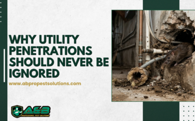 Why Utility Penetrations Should Never Be Ignored